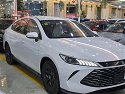 بی وای دی Qin Plus